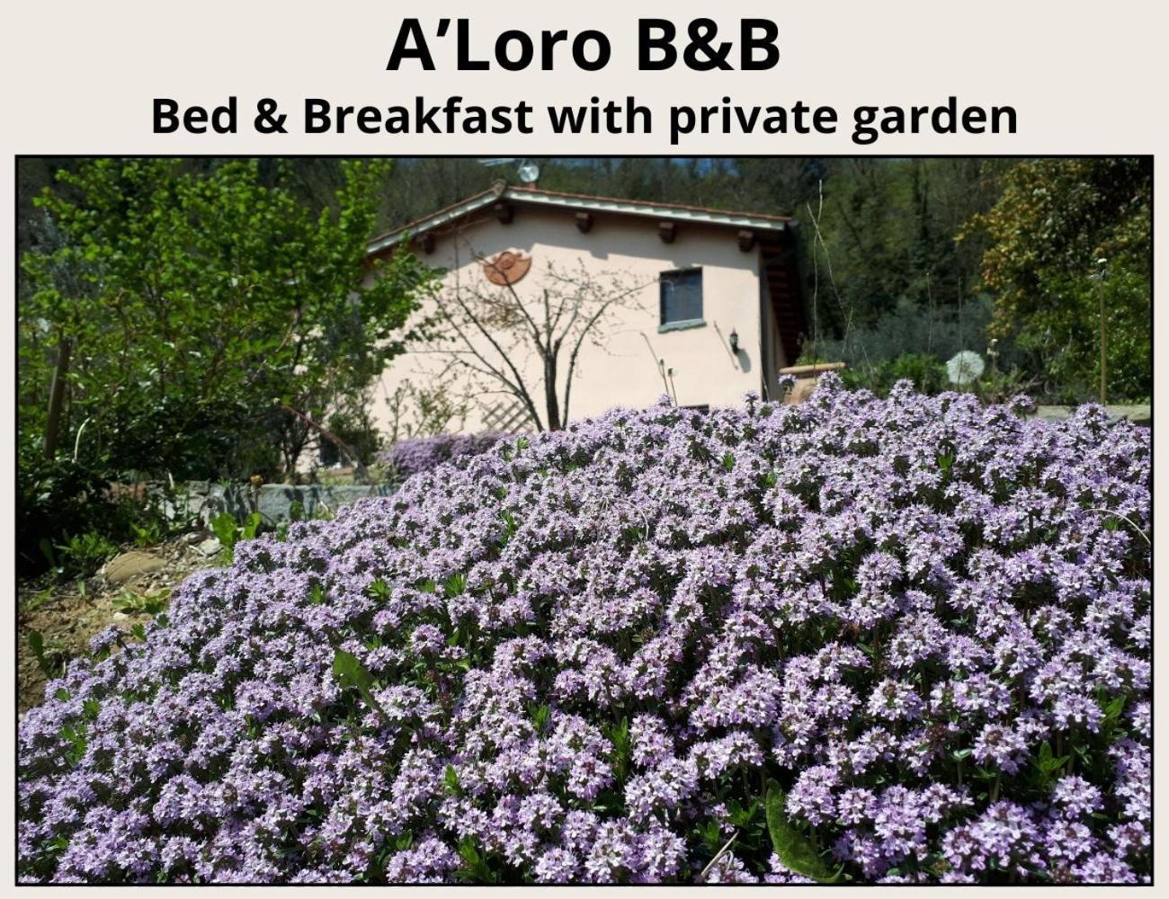A'Loro B&B 테라누오바 브라씨올리니 외부 사진
